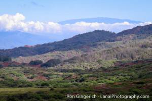 Lanai Cheap Jeeps