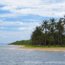 Lanai Cheap Jeeps